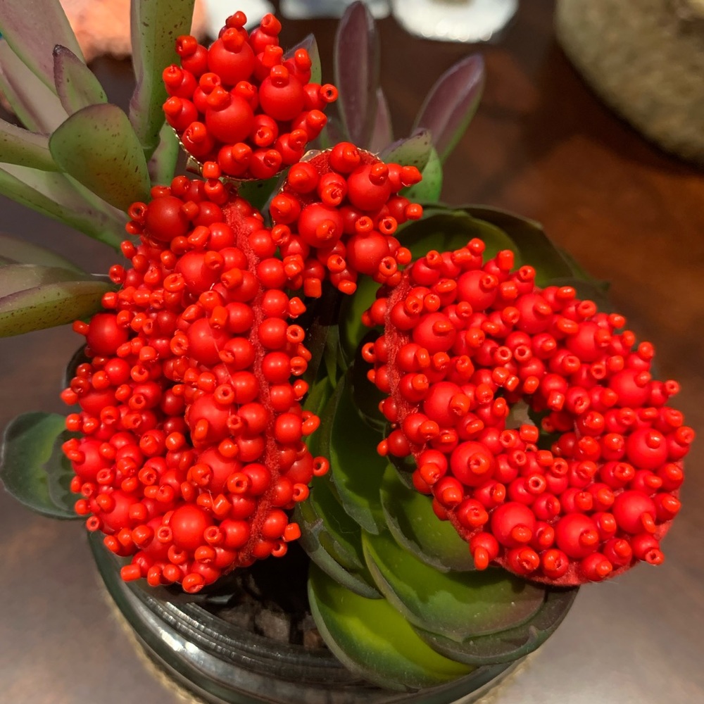 Red teardrop beaded earrings